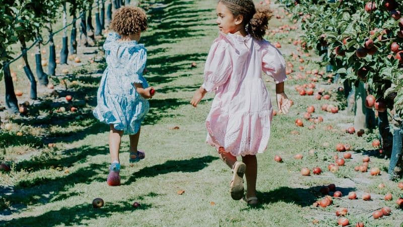 Two children run together through a sunlit apple orchard