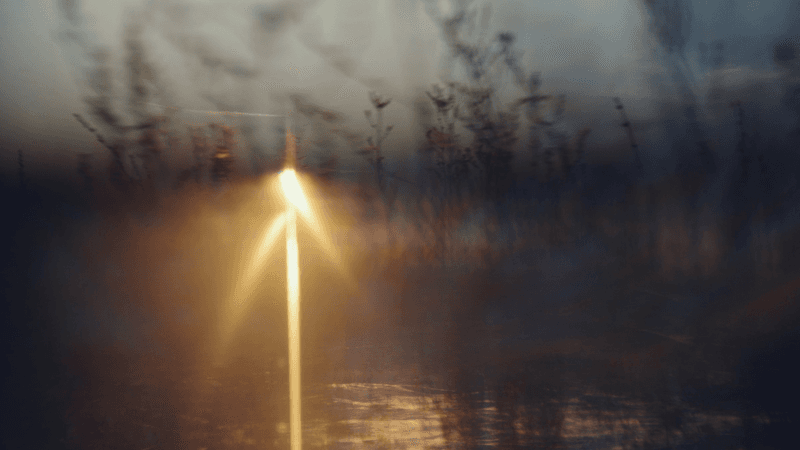 Golden sunlight breaks through a misty field at dusk