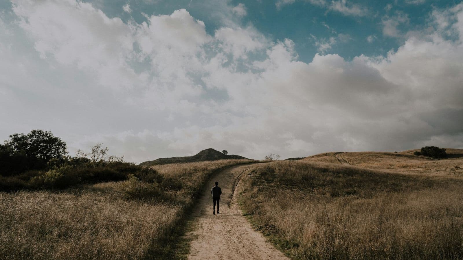 A lone person walks along a winding path through open grassland