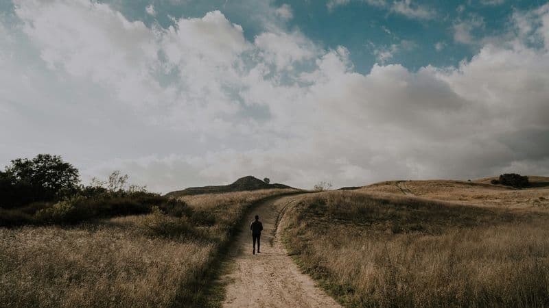 A lone person walks along a winding path through open grassland